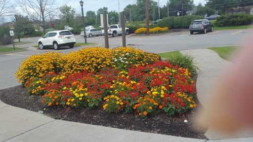 American Restaurant «Cracker Barrel Old Country Store», reviews and photos, 2075 Hylan Dr, Rochester, NY 14623, USA