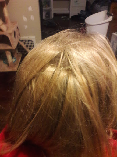 Hair Salon «Hair Essentials Salon Studios», reviews and photos, 4695 Washtenaw Ave, Ann Arbor, MI 48108, USA