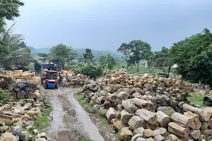 Petrified Wood Indonesia image