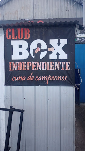 Lobos Boxing Gym ( Club Independiente) - Talca