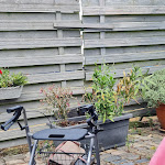 Photo n°4 de l'avis de Jennifer. fait le 20/06/2023 à 16:18 sur le  Landcafé Bruxhof à Kempen