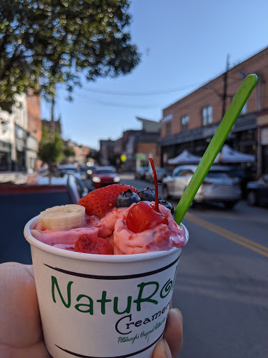 Ice Cream Shop «Naturoll Creamery», reviews and photos, 4318 Butler St, Pittsburgh, PA 15201, USA