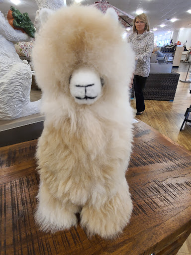 Department Store «HomeGoods», reviews and photos, 4483 Commons Dr W, Destin, FL 32541, USA