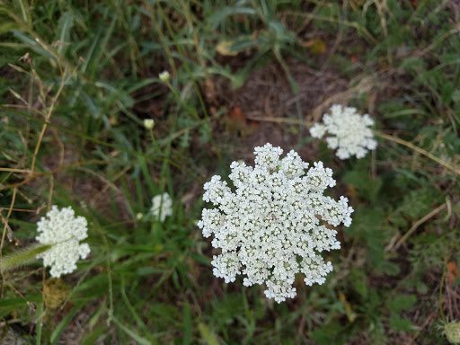 Sightseeing Tour Agency «City Sightseeing New York», reviews and photos, 455 12th Ave, New York, NY 10018, USA