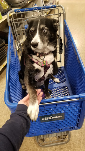 Pet Supply Store «PetSmart», reviews and photos, 16086 Jackson Creek Pkwy, Monument, CO 80132, USA
