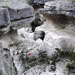 Photo n° 40 de l'avis de Gilles.a fait le 16/04/2023 à 11:56 pour Gorges du Fier à Lovagny