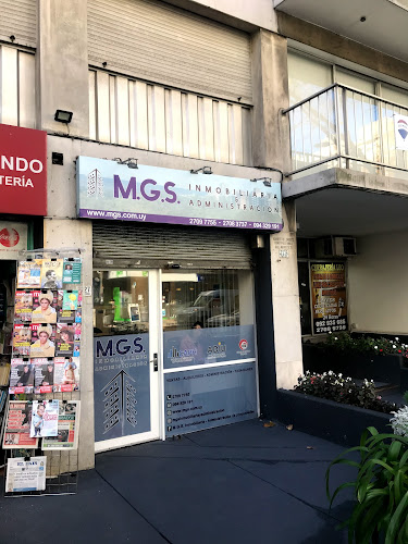 Opiniones de MGS en Montevideo - Agencia inmobiliaria