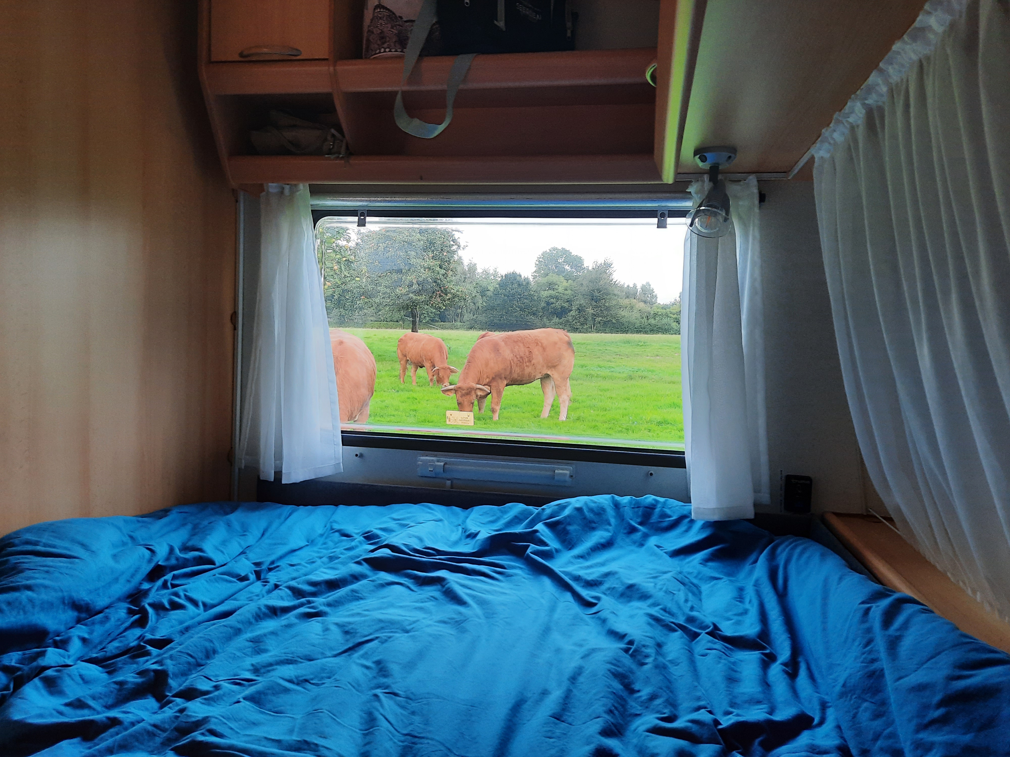 Photo n° 2 de l'avis de BertusS. fait le 10/09/2023 à 19:05