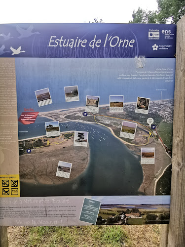 Observatoire ornithologique de la baie à Merville-Franceville-Plage