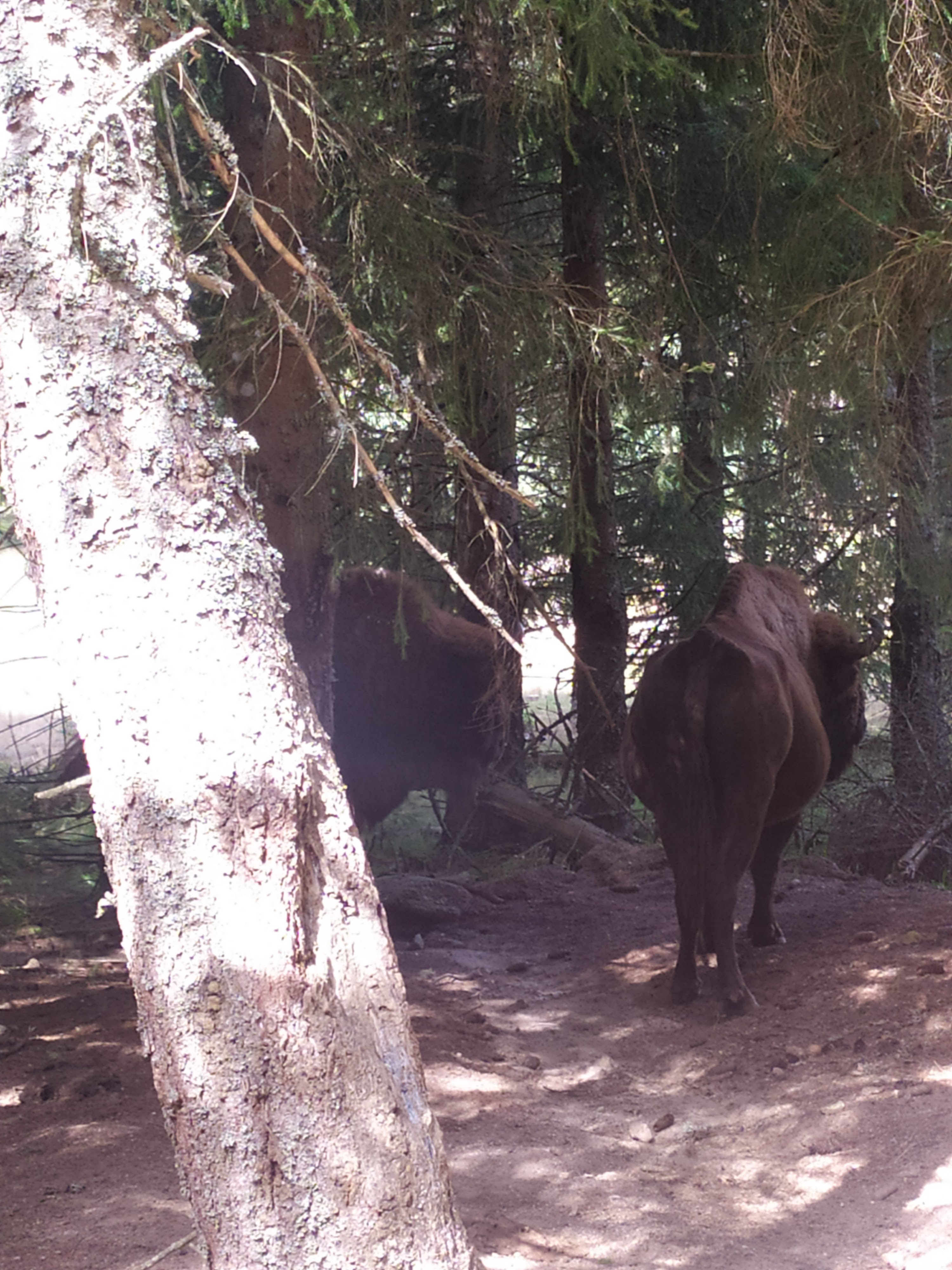 Photo n° 3 de l'avis de Angel.� fait le 19/08/2023 à 17:20