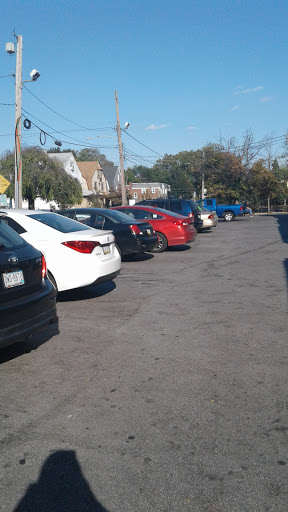 Dollar Store «Dollar Tree», reviews and photos, 39 N Lansdowne Ave #45, Lansdowne, PA 19050, USA