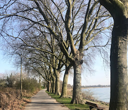 Rhein-Wanderweg Baerl Richtung Orsoy photo