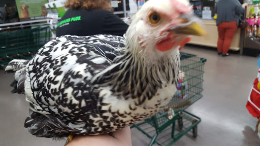 Pet Supply Store «Pet Supplies Plus», reviews and photos, 5230 S Westnedge Ave, Portage, MI 49002, USA