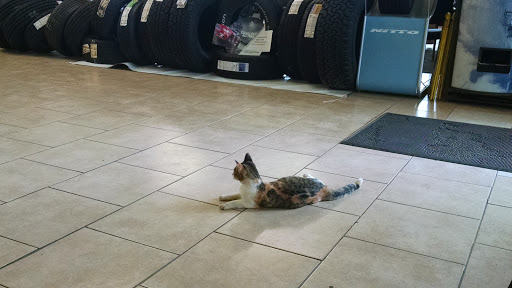 Auto Repair Shop «Fisher Tire & Service», reviews and photos, 9990 Pensacola Blvd, Pensacola, FL 32534, USA