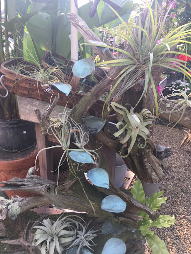 Florist «Guaranteed Plants & Florist», reviews and photos, 504 Locust Point Rd, Rumson, NJ 07760, USA