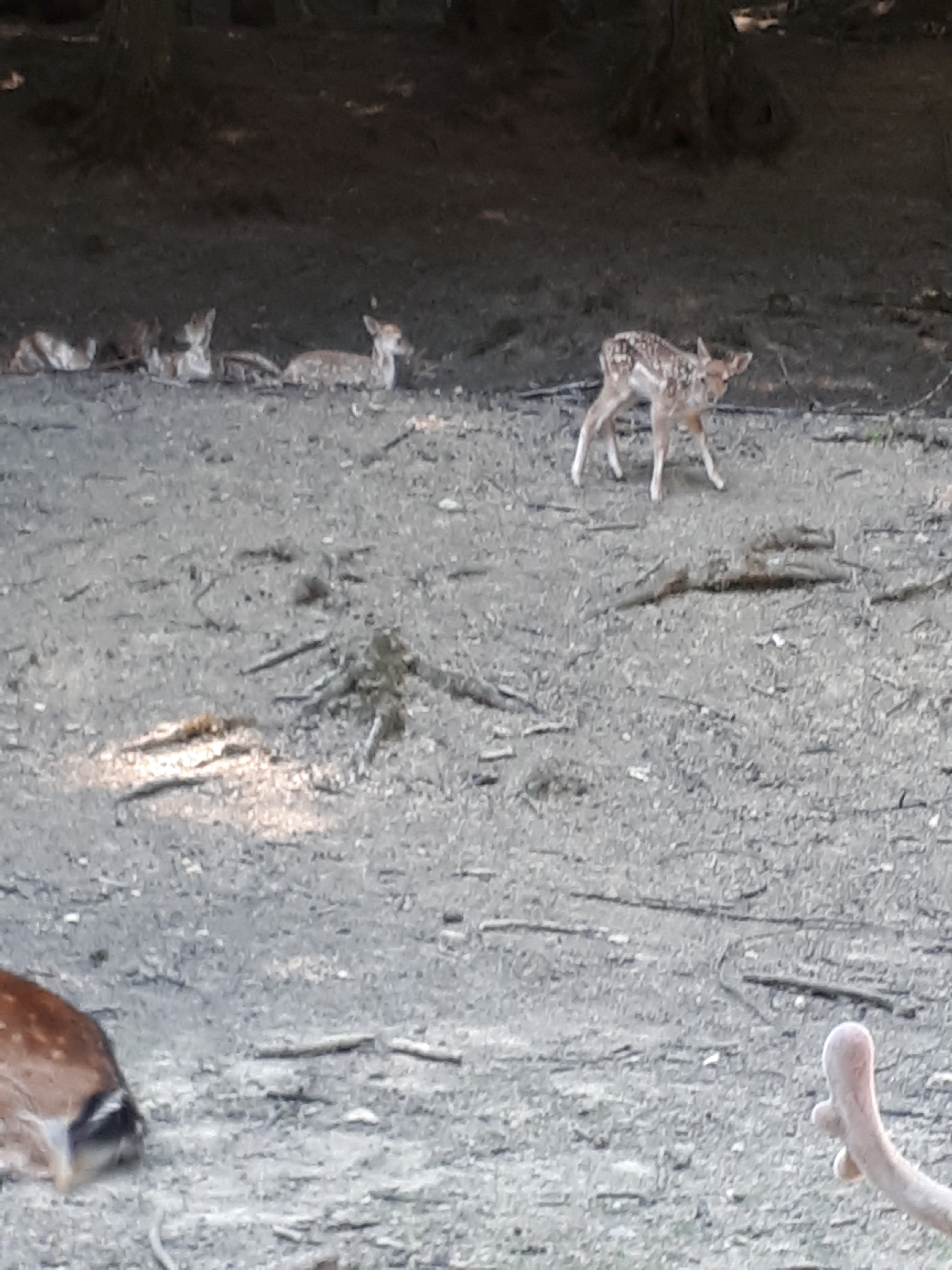 Photo n° 2 de l'avis de Annabelle.u fait le 15/07/2019 à 18:39