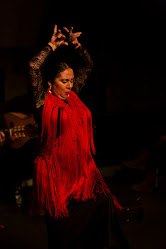 Flamenco Tanzschule Silvia Chanivet