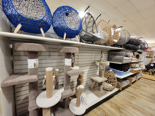 Department Store «HomeGoods», reviews and photos, Ashbrook Commons Shopping Center, Ashburn, VA 20147, USA