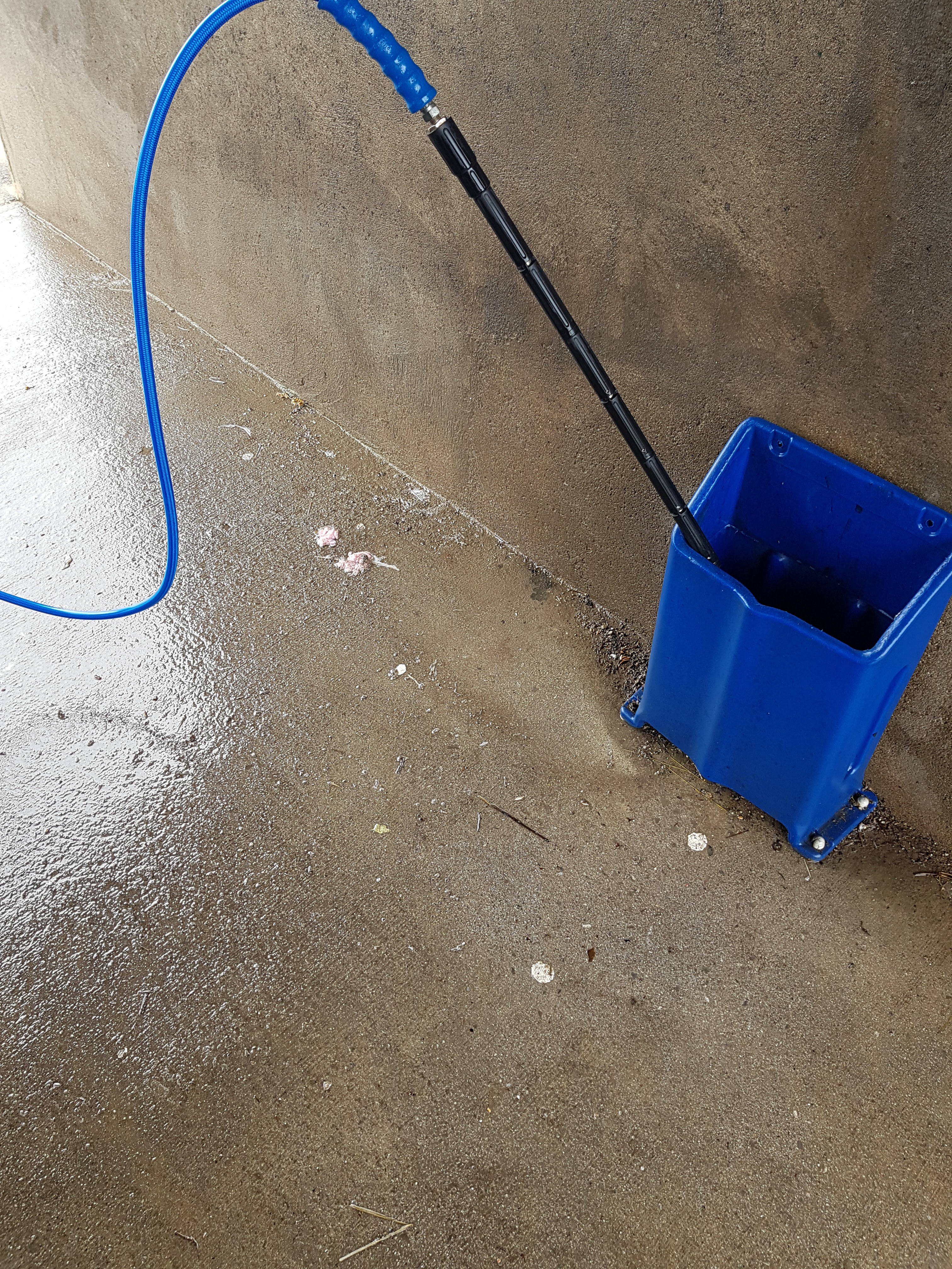 Photo n° 2 de l'avis de kemo.a fait le 20/06/2019 à 21:25