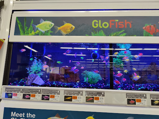 Pet Supply Store «Petco Animal Supplies», reviews and photos, 509 NJ-70, Brick, NJ 08723, USA