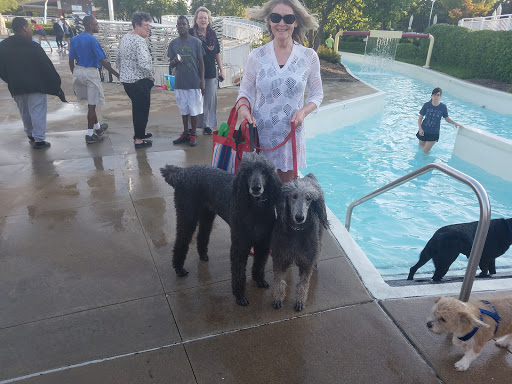 Aquatic Centre «North Pointe Aquatic Center», reviews and photos, 335 Holloway Rd, Ballwin, MO 63011, USA