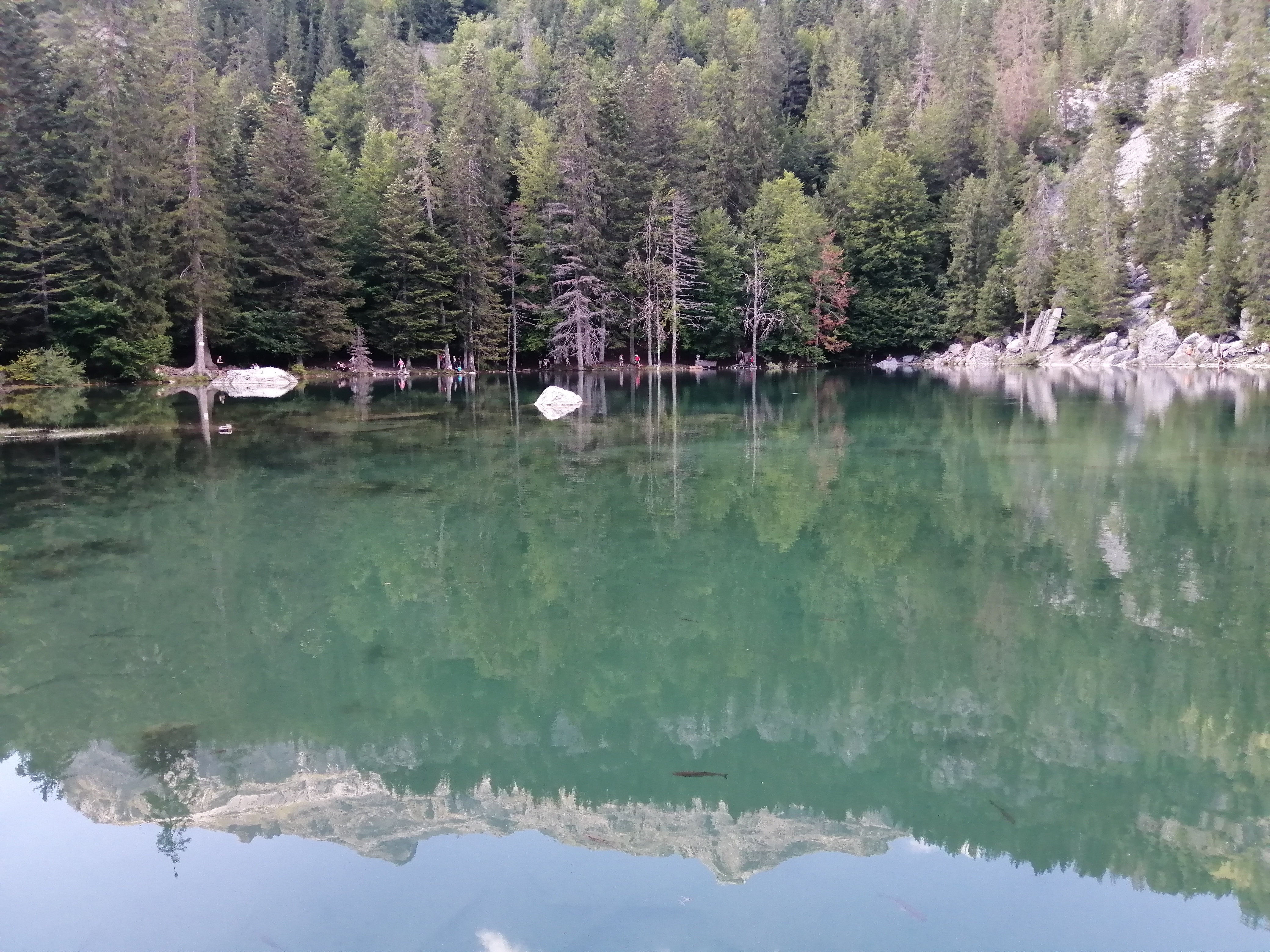 Photo n° 1 de l'avis de Guillaume. fait le 08/08/2022 à 14:50