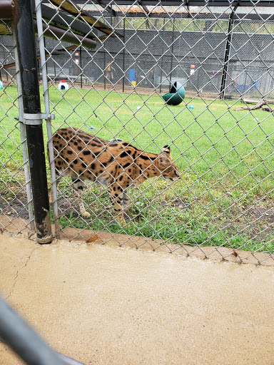 Wildlife Rescue Service «In-Sync Exotics», reviews and photos, 3430 Skyview Dr, Wylie, TX 75098, USA