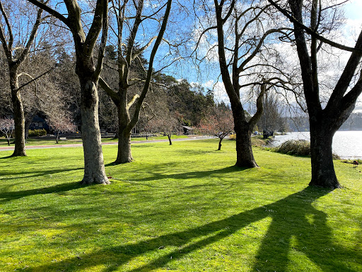 Park «Seward Park», reviews and photos, 5900 Lake Washington Blvd S, Seattle, WA 98118, USA