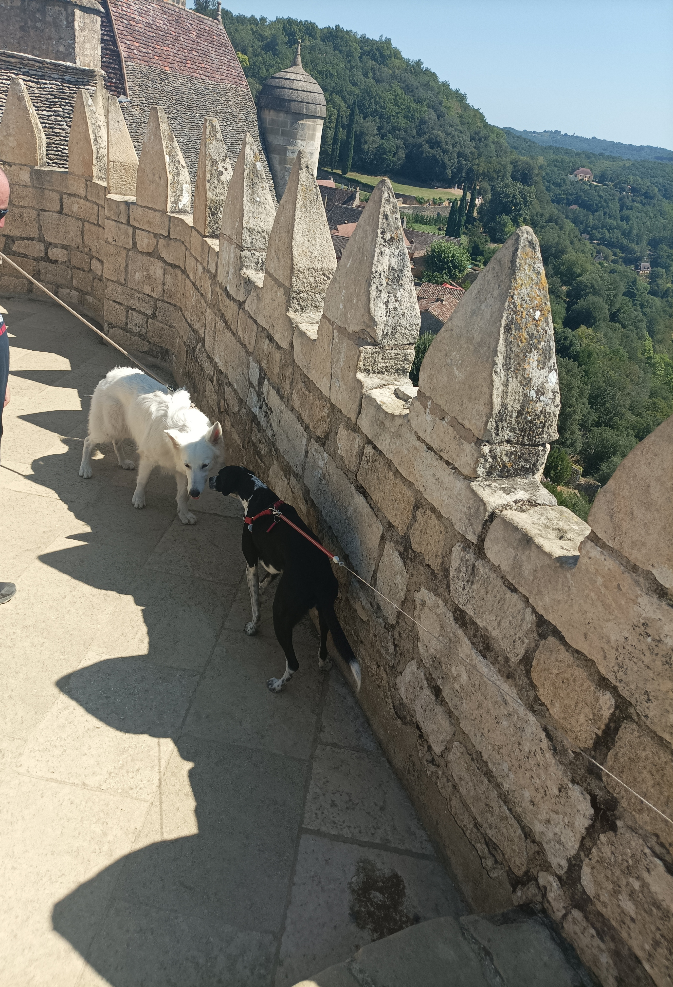 Photo n° 10 de l'avis de Guesdon.i fait le 22/08/2023 à 13:48