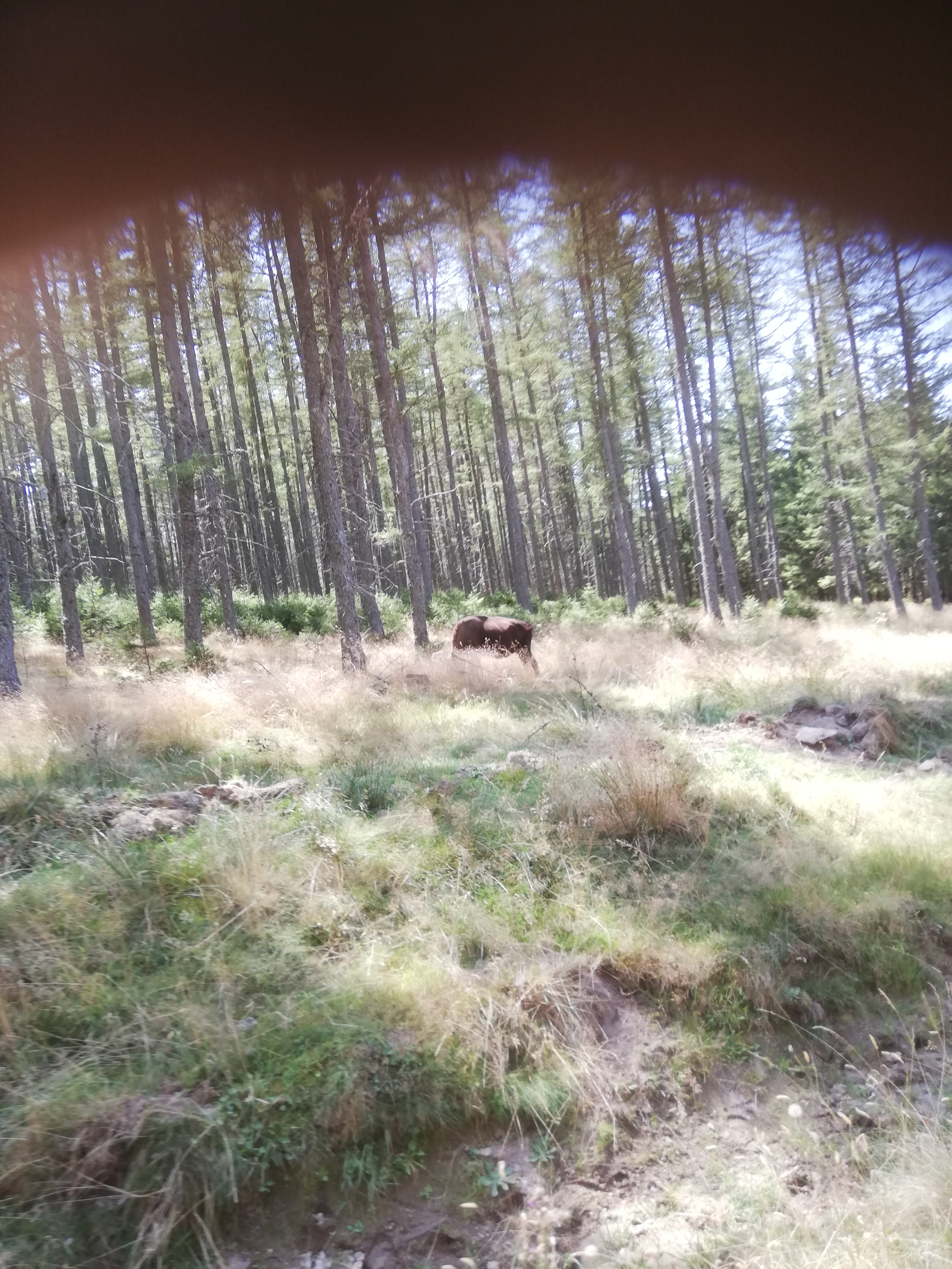 Photo n° 1 de l'avis de Jean-luc.E fait le 27/08/2023 à 20:07