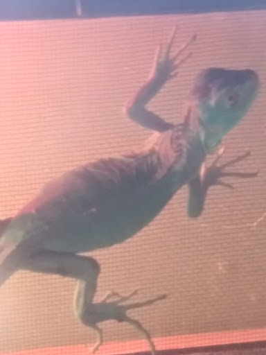 Pet Supply Store «Pet Valu Pet Store», reviews and photos, 2702 Smithville Rd, Dayton, OH 45420, USA