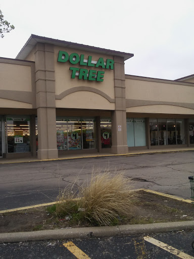 Dollar Store «Dollar Tree», reviews and photos, 528 North Ave, Glendale Heights, IL 60139, USA