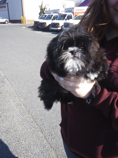 Pet Store «Pets Plus Inc», reviews and photos, 2610 Jefferson Davis Hwy, Stafford, VA 22554, USA