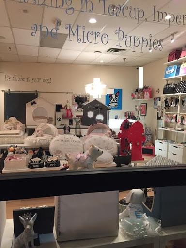 Pet Supply Store «Woof Woof Puppies & Boutique», reviews and photos, 29555 Northwestern Hwy, Southfield, MI 48034, USA