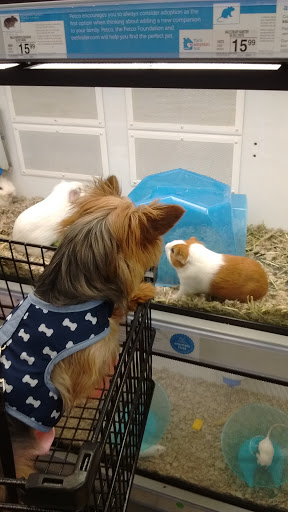 Pet Supply Store «Petco Animal Supplies», reviews and photos, 5925 US-6, Portage, IN 46368, USA