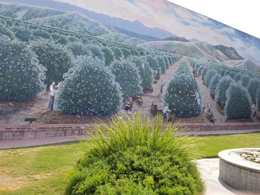 Cafe «Wildflower Cafe», reviews and photos, 121 S E St, Exeter, CA 93221, USA