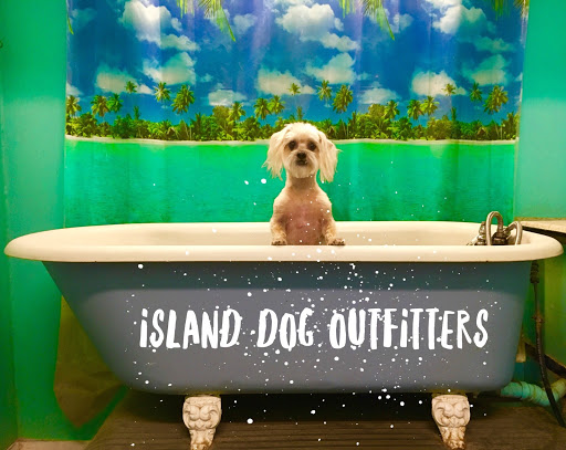 Pet Supply Store «Island Dog Outfitters», reviews and photos, 479 Poinsettia Ave, Clearwater Beach, FL 33767, USA