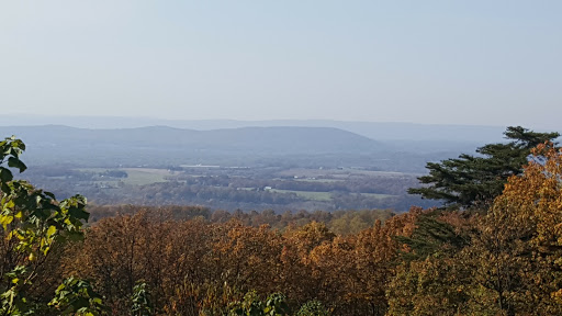 Winery «Sugarloaf Mountain Vineyard», reviews and photos, 18125 Comus Rd, Dickerson, MD 20842, USA