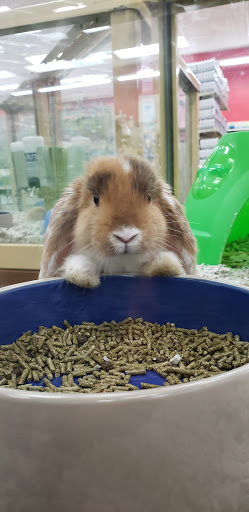 Pet Supply Store «Pet Supermarket», reviews and photos, 608 Montgomery Hwy, Vestavia Hills, AL 35216, USA