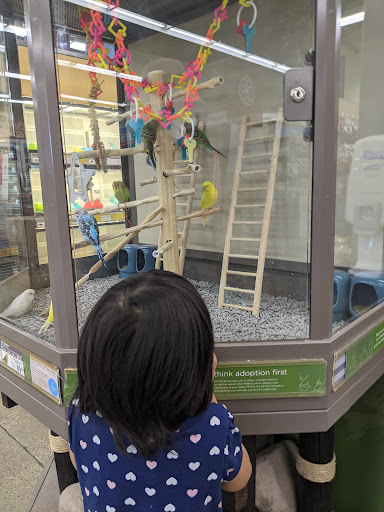 Pet Supply Store «Petco Animal Supplies», reviews and photos, 474 228th Ave NE, Sammamish, WA 98074, USA