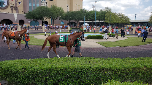 Horse riding field Arlington