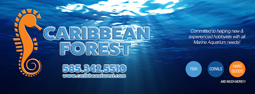 Pet Store «Caribbean Forest», reviews and photos, 24 Bursen Ct, Rochester, NY 14609, USA