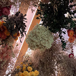 Photo n°1 de l'avis de emma.r fait le 07/09/2023 à 13:06 sur le  Il Mannarino Seregno à Seregno