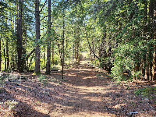 Teague Hill Trail Head