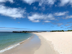 Foto di Playa Las Bachas con costa lunga e dritta