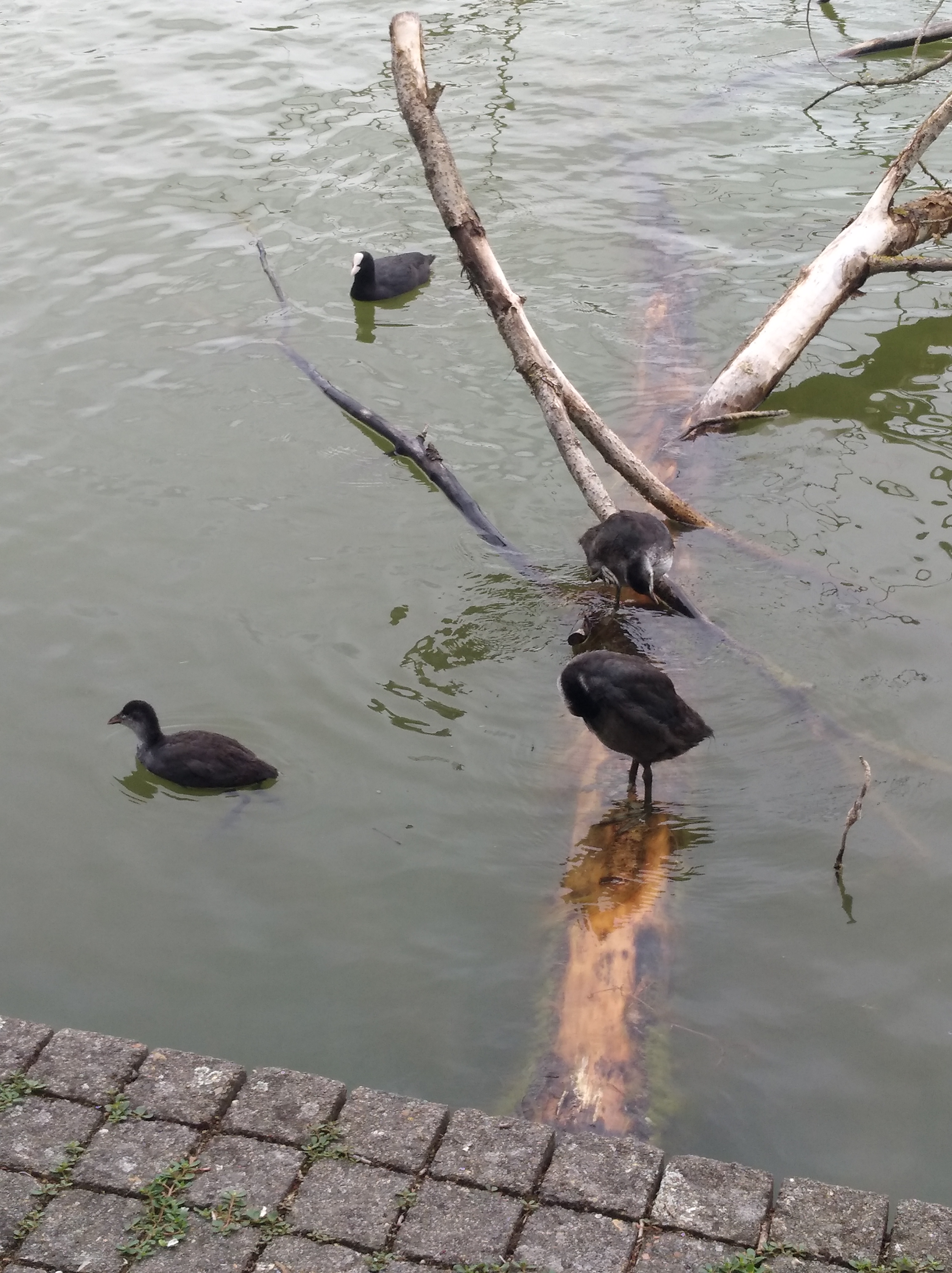 Photo n° 1 de l'avis de Vouivre.o fait le 20/08/2019 à 13:09