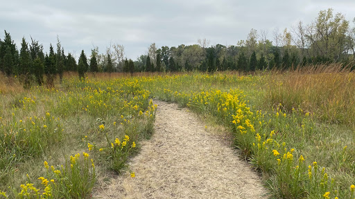 Dog Park «Beck Lake Off-Leash Dog Area», reviews and photos, 9700 Gloria Ct, Glenview, IL 60025, USA