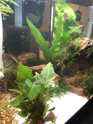 Pet Supply Store «Petco Animal Supplies», reviews and photos, 6612 Richmond Hwy, Alexandria, VA 22306, USA