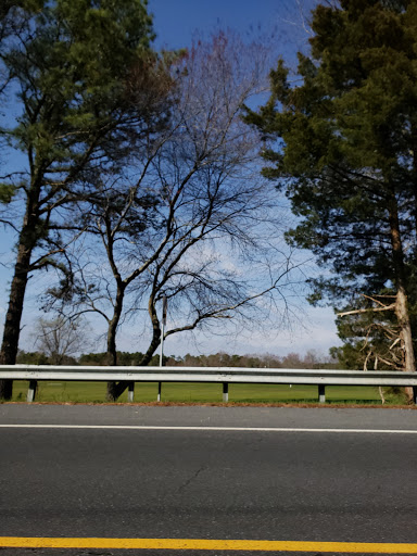 Public Golf Course «Hamilton Trails Golf Club», reviews and photos, 620 Harbor Ave, Mays Landing, NJ 08330, USA