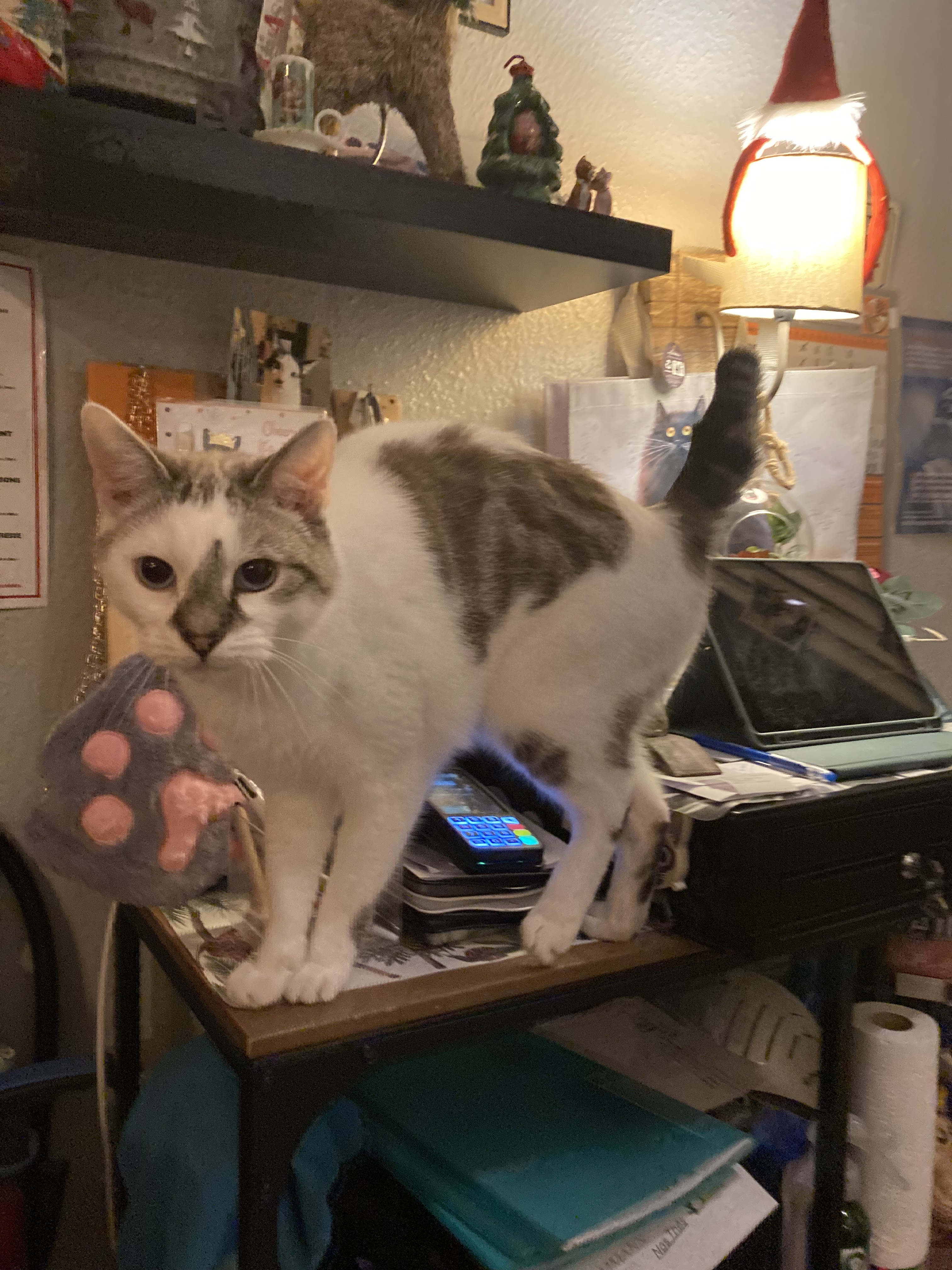 Photo n° 2 de l'avis de Clarisse.r fait le 11/12/2023 à 22:58